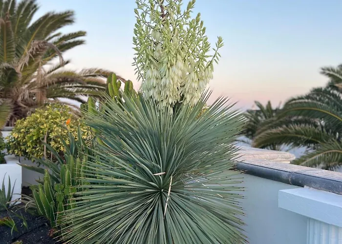 Oasis De Lujo - Luxury Boutique Costa Teguise